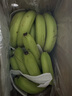 精品云南香蕉高山香蕉現(xiàn)摘新鮮水果甜生青香蕉banana自然熟綠皮 精品高山蕉 9斤 曬單實(shí)拍圖