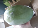 【新鮮上市】正宗攀枝花凱特芒果新鮮水果 帶箱4斤【單果300-400g】 曬單實(shí)拍圖