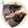 仙泉湖花鰱魚頭 600g/個冷凍雙邊大胖頭鳙魚 海鮮水產(chǎn)食材 曬單實(shí)拍圖