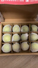 施耐德（Schneider）小學(xué)生鋼筆初學(xué)者兒童開(kāi)學(xué)季必備用品正姿練字筆男女孩三四年級入門(mén)墨囊鋼筆EF尖童趣-綠色恐龍 曬單實(shí)拍圖