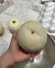 甜盟秋月梨 店長(cháng)力薦 252g+ 凈重4.55斤 曬單實(shí)拍圖