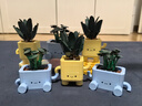 樂(lè )高（LEGO）積木拼裝10349 快樂(lè )盆栽男孩女孩兒童玩具教師節禮物 曬單實(shí)拍圖
