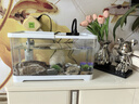 闊庭（KUOTING）魚(yú)缸懶人魚(yú)缸家用客廳辦公室金魚(yú)缸過(guò)濾魚(yú)缸白色款 曬單實(shí)拍圖