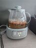 九陽(yáng)（Joyoung）0膠水凈萃全玻璃養(yǎng)生壺 燒水加快40% 燉煮恒溫泡茶壺電熱水壺辦公室1L迷你花茶壺WY104 綠色  曬單實(shí)拍圖