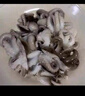 美加佳 三去迷你章魚仔 凈重1斤 火鍋八爪魚 去牙去臟小章魚 海鮮水產 曬單實拍圖