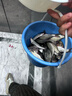 釣魚(yú)酒米窩料紅蟲(chóng)打窩維它米鯽魚(yú)野釣鯉魚(yú)草魚(yú)餌魚(yú)食底窩漁具一瓶 （推薦組合）紅米和黃米各1瓶 曬單實(shí)拍圖