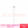 Apple/蘋果 有線耳機轉(zhuǎn)接頭3.5毫米轉(zhuǎn)USB-C/Typc-C接口 適用USB-C接口的iPhone/iPad/Mac 曬單實拍圖