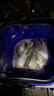 趣玲瓏串鉤釣組線組鉛墜配件綁好魚鉤遠(yuǎn)投金袖鯽魚白條黃辣丁拋竿海桿鉤 金袖3鉤(1包2付) 送收納線 線板 7號(hào) 曬單實(shí)拍圖
