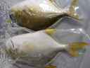 翔泰 海南金鯧魚凈重900g 2條裝  魚類生鮮 燒烤 火鍋食材 海鮮水產(chǎn) 曬單實(shí)拍圖