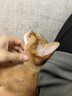 仁和小兒推拿精油按摩油溫通健脾精油兒童推拿調理脾胃開(kāi)背精油 曬單實(shí)拍圖