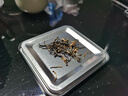 京東京造 精制紅茶正山金駿眉250g武夷山產(chǎn)區紅茶蜜香新茶葉禮盒 教師節 曬單實(shí)拍圖