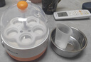 小熊（Bear）煮蛋器蒸蛋器單層家用自動(dòng)斷電迷你早餐神器雞蛋羹蒸雞蛋器蒸蛋機燉蛋器蒸蛋鍋防干燒便攜式電蒸鍋 單層 曬單實(shí)拍圖