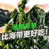 鹽漬裙帶菜新鮮海帶涼拌菜海帶苗火鍋煲湯食材裙帶菜嫩芽一等品 鹽漬裙帶菜500g×2包 曬單實(shí)拍圖
