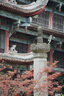 索尼（SONY） FE 24-70mm F2.8 GM  II 全畫幅大三元標準變焦鏡頭 G大師鏡頭 SEL2470GM2  2470GM2 黑色 官方標配 曬單實拍圖