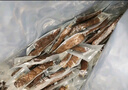 科爾沁 手撕風(fēng)干牛肉干 原味500g 量販裝 休閑零食肉干肉脯特產(chǎn)禮品 曬單實(shí)拍圖