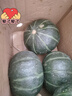 京鮮生山東貝貝南瓜 凈重3斤 中果300+ 粉糯香甜新鮮蔬菜源頭直發(fā) 曬單實(shí)拍圖