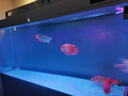 海甲衛(wèi)（HAKAWIN）魚缸氧氣泵超靜音氧氣泵魚缸小型家用增氧泵大氣量 AT-771 曬單實(shí)拍圖