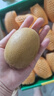佳沛（zespri）新西蘭 陽光金奇異果12粒禮盒特大果單果約122-146g 獼猴桃 水果 曬單實拍圖