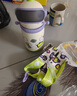 babycare百變恐龍兒童保溫杯嬰兒寶寶學(xué)飲杯吸管水杯水壺霸王龍不銹鋼上學(xué) 曬單實(shí)拍圖