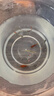 小型觀(guān)賞魚(yú)孔雀魚(yú)米奇魚(yú)斑馬魚(yú)白云金絲金苔鼠魚(yú)小型熱帶魚(yú)活體魚(yú) 孔雀斑馬米奇各4條+金苔鼠2條 曬單實(shí)拍圖