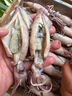 海鼎紀(jì)原漿船凍小海兔900克 筆管魷魚 海鮮燒烤火鍋無保水劑海兔子 中秋 曬單實(shí)拍圖
