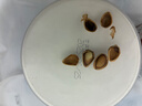 十年夢(mèng)新貨松子東北1000g手剝開(kāi)口松子大顆粒堅果孕婦零食干果罐裝 【2罐】開(kāi)口松子500g 曬單實(shí)拍圖