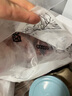 得利斯 黑豬前排2斤 黑豬肉生鮮 精品豬排骨 前排 黑豬肋排 免切含脊骨 曬單實拍圖