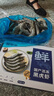 鮮京采 鮮凍大號黑虎蝦 去冰凈重2斤 31-40只/盒 斑節對蝦 曬單實(shí)拍圖
