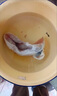 中洋魚天下 (ZHONGYANG GLOBAL FISH) 河豚魚150g 全程可追溯 30年養(yǎng)殖技術(shù) 生鮮 海鮮水產(chǎn) 曬單實(shí)拍圖