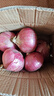 京鮮生 河南紫紅皮洋蔥凈重5斤單果200g+ 現(xiàn)挖新鮮蔬菜 源頭直發(fā)包郵 曬單實(shí)拍圖