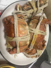 【活蟹】陽澄沁沁大閘蟹 鮮活大湖螃蟹全母蟹 海鮮水產(chǎn)生鮮禮盒裝 【八只裝】全母蟹2.8-3.1兩 曬單實拍圖