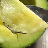 京鮮生蜜蜂授粉牛三蜜瓜網(wǎng)紋瓜 單果2斤起 凈重8-9斤 2-4粒裝源頭直發(fā) 曬單實(shí)拍圖