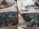 新香菇500g干貨無(wú)干燥劑商用涮鍋食材冬菇高山菇煲湯炒菜燒烤散裝 30g干香菇 曬單實(shí)拍圖