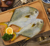 翔泰海南深海金鯧魚700g 2條 燒烤 火鍋 生鮮魚類 BAP認(rèn)證 海鮮水產(chǎn) 曬單實拍圖