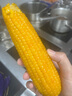 佳農(nóng) 內(nèi)蒙黃糯玉米棒8袋*220g 軟糯香甜 真空鎖鮮 源頭直發(fā) 禮盒包郵 曬單實拍圖