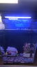 米家智能桌面魚(yú)缸小米生態(tài)魚(yú)缸小型智能專(zhuān)業(yè)背濾一體缸自循環(huán) 曬單實(shí)拍圖