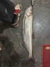 漢鼎魚(yú)竿路亞竿套裝新手小白竿碳纖維魚(yú)桿手桿釣魚(yú)竿漁具套裝 1.83m 曬單實(shí)拍圖