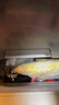 葷八廚 內蒙古牛尾骨500g凈重 新鮮牛肉生鮮牛尾巴寶寶煲湯燒烤火鍋食材 曬單實(shí)拍圖