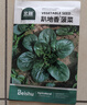 北蔬 菠菜種子苗老品種耐寒小葉大葉紅根秋季菜籽 趴地香菠菜種子20g 曬單實(shí)拍圖