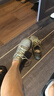 愛(ài)步（ECCO）BIOM C運動(dòng)鞋 25年夏季戶(hù)外登山鞋老爹鞋牛皮女鞋 健步800463 草綠色80046352560 37 曬單實(shí)拍圖