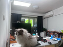 Paulmann P 德國柏曼護(hù)眼臺燈騎士燈 學(xué)習(xí)LED全光譜落地?zé)糇x寫大路燈兒童 曬單實(shí)拍圖