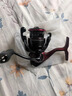 達億瓦（DAIWA）25新款泛用紡車(chē)輪輕量路亞漁輪遠投淡海水微物遠投漁線(xiàn)輪十大品牌 LT1000S-XH（淺線(xiàn)杯+高高速比） 左右手互換型 曬單實(shí)拍圖