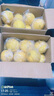 京鮮生 安岳黃檸檬12粒 單果100g+ 生鮮水果 源頭直發(fā)包郵 曬單實(shí)拍圖