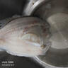 1號會(huì )員店（One's Member）零添加保水劑白蕉三去海鱸魚(yú) 1000g（500g*2） 海魚(yú) 海鮮水產(chǎn) 曬單實(shí)拍圖