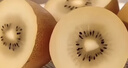 佳沛（zespri）新西蘭 新果季 陽(yáng)光金奇異果33粒原箱單果重約101-114g 獼猴桃 曬單實(shí)拍圖