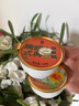 蔡府雙皮奶210g*6禮盒經(jīng)典廣式甜品順德大良特產(chǎn)下午茶伴手禮品禮物 曬單實(shí)拍圖