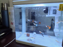 森森（SUNSUN）魚缸水族箱生態(tài)桌面金魚缸玻璃小型客廳制氧過濾免換水家用缸 高清玻璃 230白色標配 （帶20件套） 曬單實拍圖
