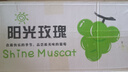 四川大涼山陽光葡萄青提晴王無籽葡萄新鮮水果爆甜錦時(shí) 帶箱5斤（單果10g+）2-3串 曬單實(shí)拍圖