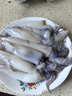 賣魚七郎全籽筆管魚2斤（含保護(hù)冰100g）魷魚海兔子籽烏滿籽帶籽軟足類 曬單實(shí)拍圖