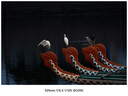 索尼（SONY）APS-C半畫(huà)幅大變焦鏡頭 E70-350mmF4.5-6.3 G OSS 官方標配 曬單實(shí)拍圖